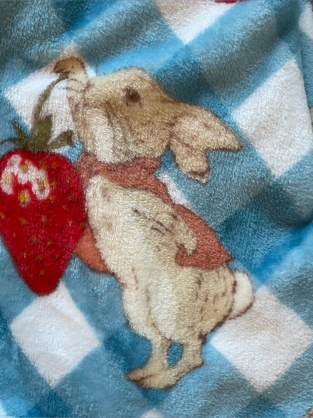Peter Rabbit Beatrix Potter Strawberry Soft Plush Throw Blanket 50x70 Blue White - Picture 5 of 13